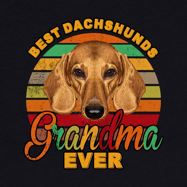 Best Dachshunds Grandma Ever by franzaled